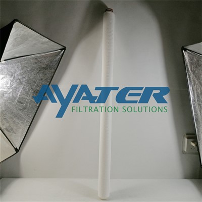 Картриджі RMG030-40EPP High-Flow